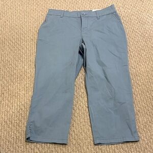 Style & Co. Blue Capris